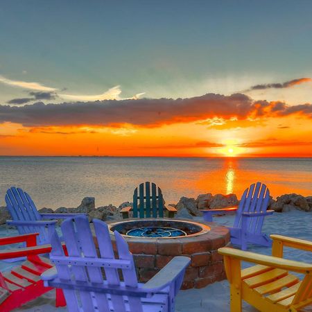 227-Wifi, New Paint, Amazing Views, Close To Bucs Stadium Tampa Eksteriør bilde