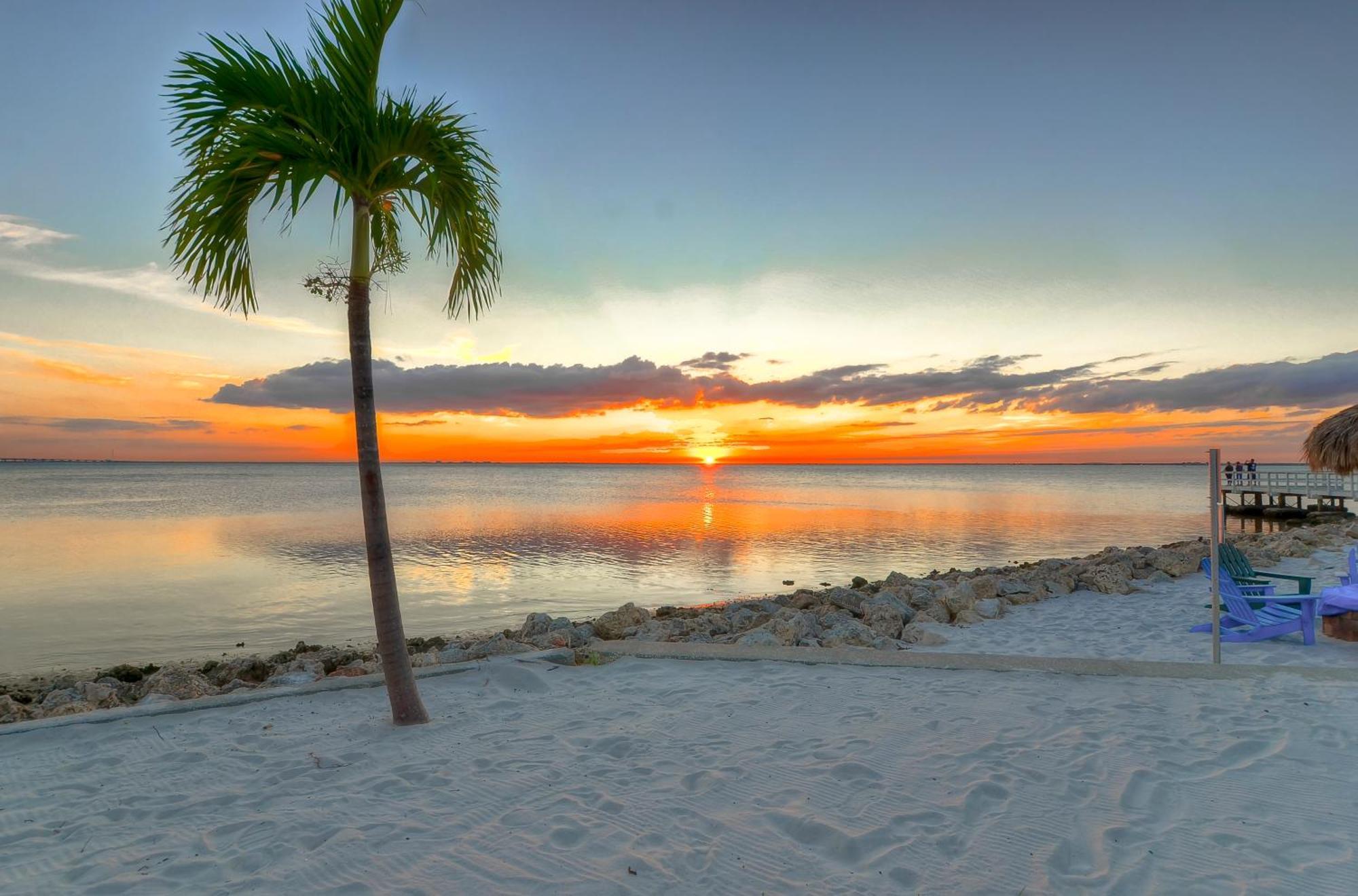 227-Wifi, New Paint, Amazing Views, Close To Bucs Stadium Tampa Eksteriør bilde