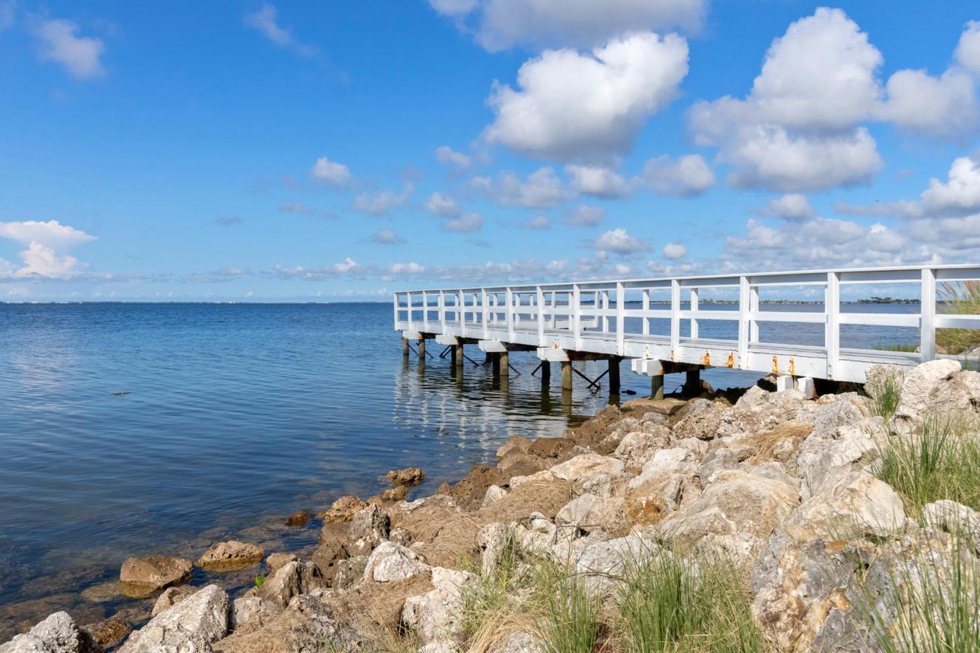 227-Wifi, New Paint, Amazing Views, Close To Bucs Stadium Tampa Eksteriør bilde