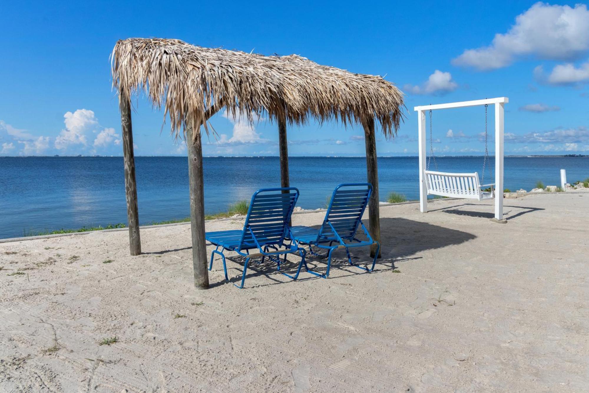 227-Wifi, New Paint, Amazing Views, Close To Bucs Stadium Tampa Eksteriør bilde